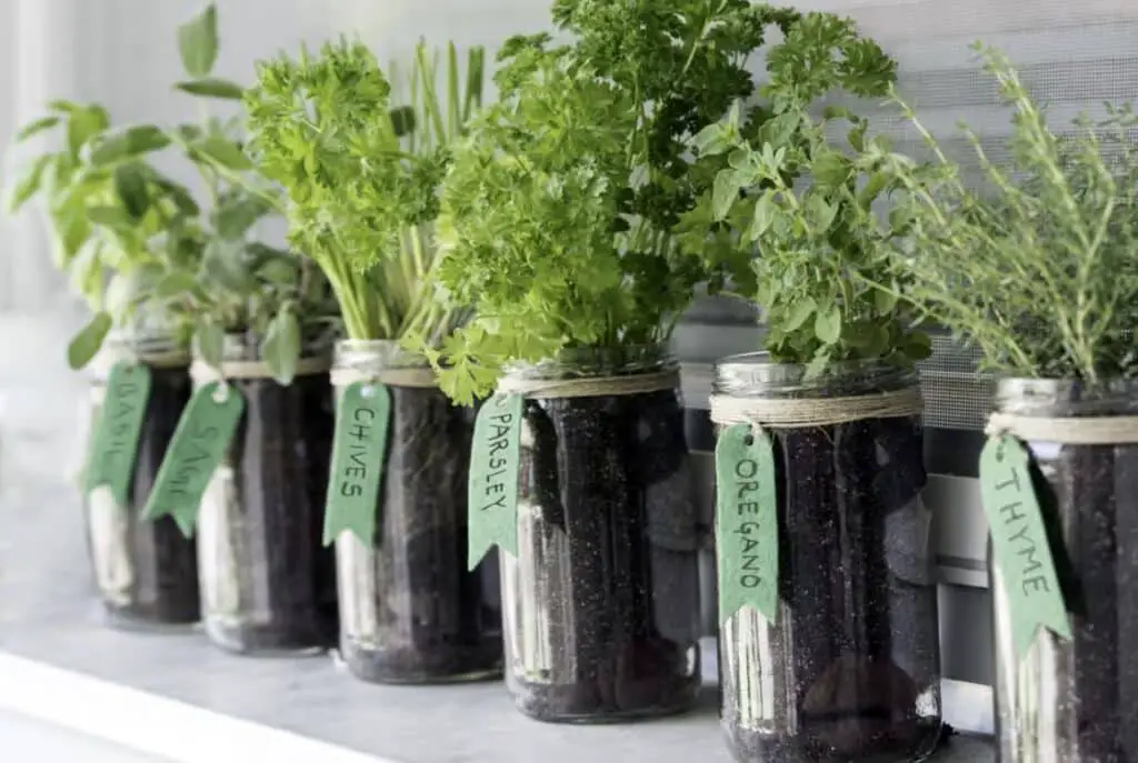 10 simple ways to make vegetables taste better