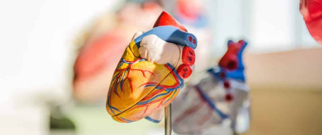 7 Things About Your Body Your Blood Type Can Tell You