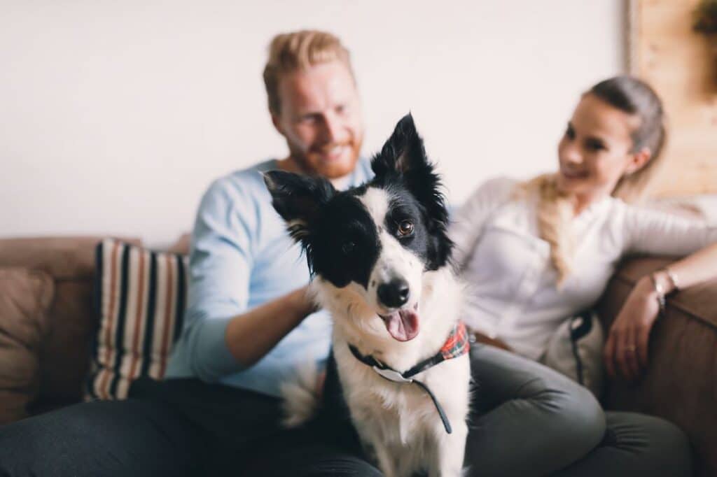 Ten Things to Think About Before Moving In Together