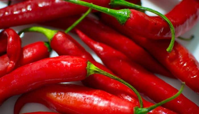 8 REASONS TO INCLUDE CAYENNE PEPPER IN YOUR DIET