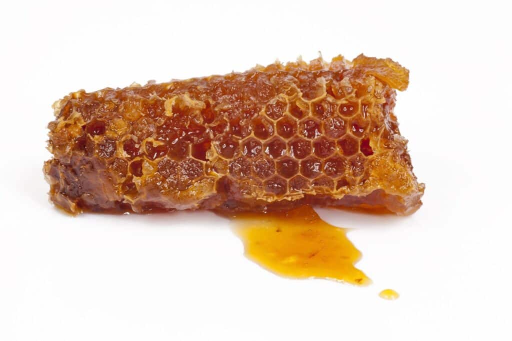 11 Dietary Supplements That May Aid in the Treatment of Viral Respiratory Infections