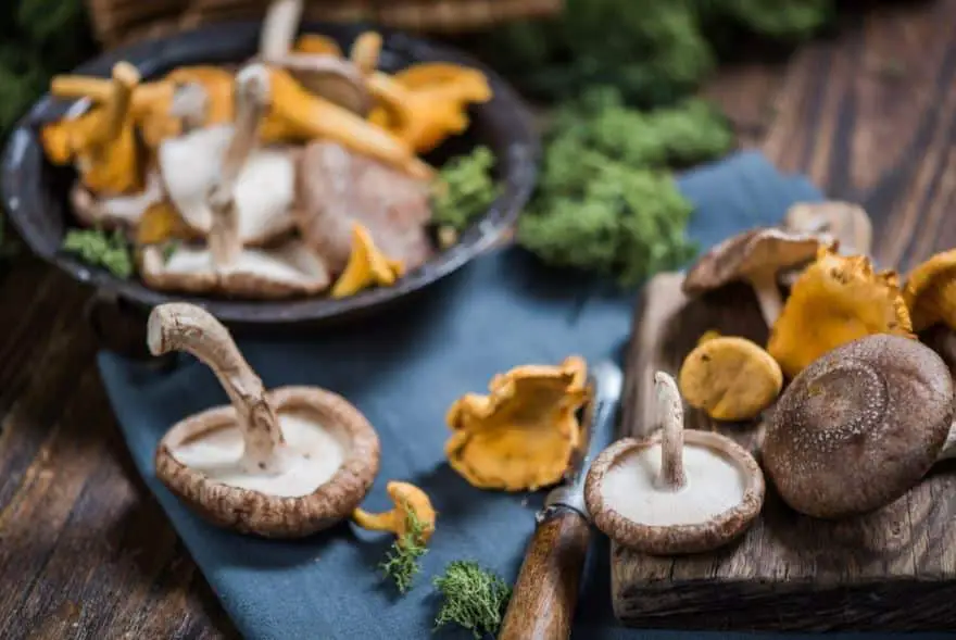 11 Dietary Supplements That May Aid in the Treatment of Viral Respiratory Infections