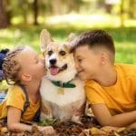 Discover the incredible benefits of having a pet for children. From fostering emotional development to promoting responsibility and empathy, owning a pet offers numerous advantages. This article explores the positive impact that pets can have on children's mental, physical, and social well-being. Uncover the benefits of introducing a furry friend into your child's life.