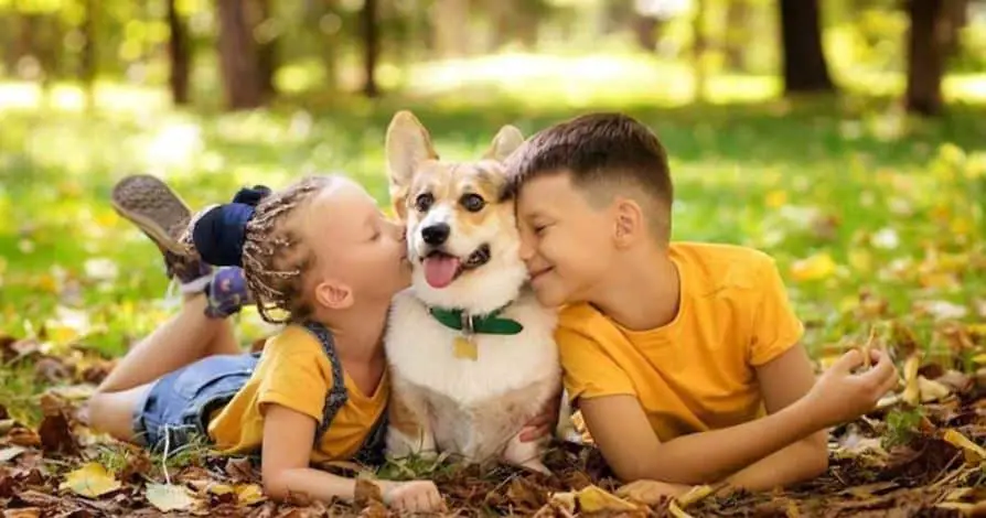 10 Incredible Advantages of Having a Pet for Children