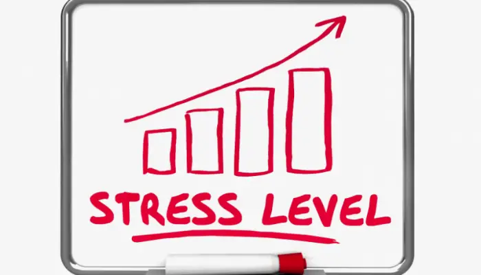 1-Increased Stress Levels
