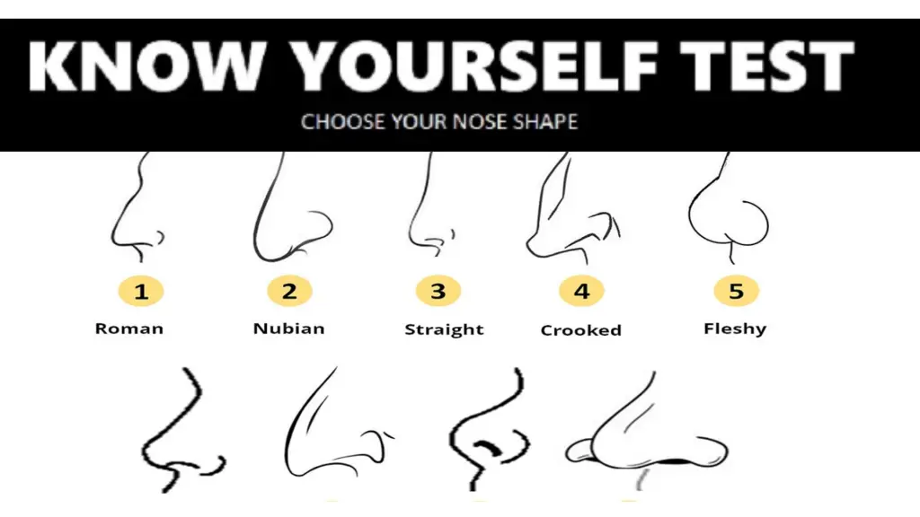 Top 9 Nose Shapes: The Shape Of Your Nose Says A Lot About Your Personality