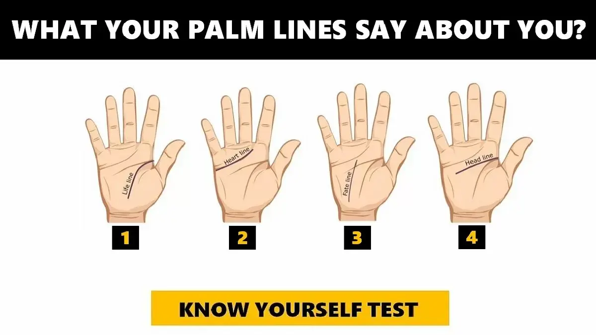 Palm reading Life line meaning Spiritual guidance Future prediction Fortune reading Emotional health Self-discovery Personality insight Life purpose Mindfulness Energy levels Relationship insight Personal growth Career shifts Wellness